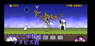 今日のわんこ　アヌビス君