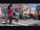 新小学一年生となる園児対象に「交通安全教室」　通学路で横断歩道の渡り方を説明