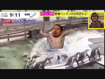 ペンギン池にダイブする野獣先輩.sukkiri