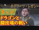 【炎と悪事】ホグワーツ・レガシー こつこつ実況 第40夜