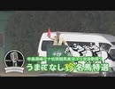 【ウマ娘風】中島英峰アナ佐賀競馬実況33年皆勤賞！うまてなし珍名馬特選(佐賀・2023)