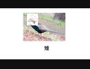 桐藤ナギサであそぼう