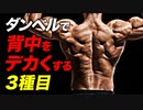 【筋トレ】ダンベルで背中をデカくする 3種目 | ボディビルチャンピオンが解説【ビーレジェンド プロテイン】