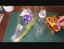 再生栽培：スーパーで買ってきた、みずなを再生栽培してみます。2021年10月3日