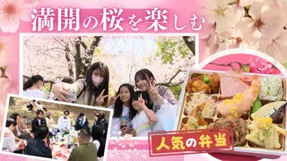 絶好の花見日和　「桜まつり」、名所「舞鶴公園」、「春限定のオールスター弁当」　福岡