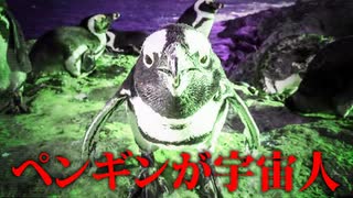 ペンギン、宇宙飛来説！！【都市伝説】