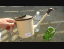 ミニじょうろ：容量:1.5L：買いました。便利！2021-10-03