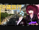 グロかわちゃんの沖縄旅行②