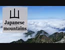 山で撮ったものいろいろ