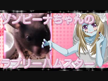 ゾンビーナのハムスターの日常。32
