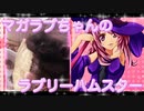 マガラブのハムスターの日常31