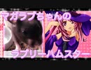 マガラブのハムスターの日常32