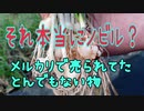 メルカリでトンデモナイものが売られてた