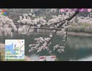 津久井湖（城山ダム）　さくら　2023