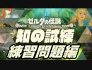 【実況】ブレワイの知識を競え！知の試練 練習問題編【ゼルダの伝説 ブレスオブザワイルド】