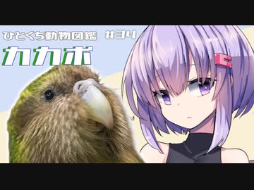 ひとくち動物図鑑　#34　カカポ　[VOICEROID解説]