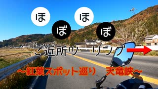 【ボイロ車載】ほぼほぼご近所ツーリング　その7～紅葉スポット巡り　天竜峡～【長野勢】