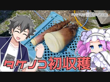 2023年3月29日　農作業日誌P583　実はもっと色々やっていた収穫日、タケノコ取れました！　VOICEVOX