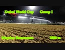 【ウマ娘風動画】第27回ドバイワールドカップ(G I)(2023)【ラジオNIKKEI版】
