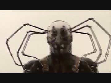 クモ先輩の先輩.m7