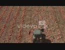 4k Tractor in Pumpkin patch - Drone Flight Dolly in Overhead