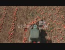 4k Tractor in Pumpkin patch - Drone Flight Dolly