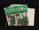 ①パクチー(コリアンダー)栽培をやってみます。2021-09-25