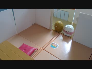 迫真相撲部　すみっコぐらしの裏技