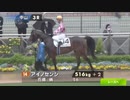 【ウマ娘風】アイノセンシ 中山第3R 3歳未勝利 (2023/03/26)