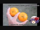 ゆっくり農民208畑を拓いてみませんか?#34