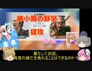 ＜信長の野望・新生＞こころのほのぼの笑顔堅守記　第4話（上級姉小路家、1575年）