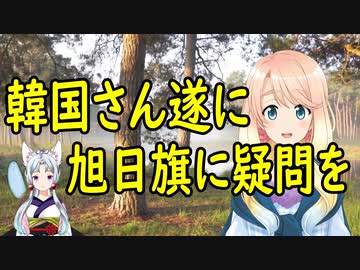 【韓国の反応】韓国さんが遂に旭日旗について疑問を持ち始めてしまう。【世界の〇〇にゅーす】