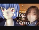 【満足したら即帰宅】小田原観光〜！
