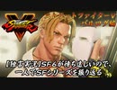【ストⅤ バルログ編】ＳＦ６が待ち遠しいので、一人でＳＦシリーズを振り返る【独言実況】