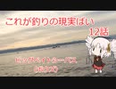 これが釣りの現実ばい12（サーフシーバス狙い）【VOICEROIDフィッシング】