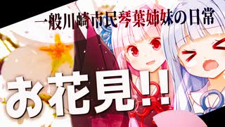 琴葉姉妹のお花見！！