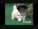 愛犬ロボ「無限」