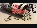 【ポケモンSV】零れ落ちる種と未知の先【オリーヴァ】