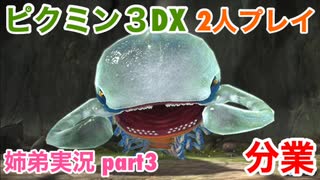 □■ピクミン3DXを分業実況 part3【姉弟実況】