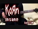 Korn - Insane - guitar cover by Z-iN