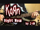 Korn - Right Now - guitar cover by Z-iN