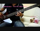 Red Hot Chili Peppers - Californication - bass cover by Z-iN