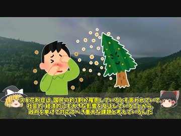 【ゆっくり解説】スギ花粉とは？？木を全部伐ったら？？【花粉症】