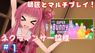 「Super Bunny Man」をネクラマンサー焔様とプレイしました！ #1