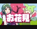 お花見【VOICEROID劇場】