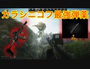 【タルコフ】サードインパクト級最強弾薬HP弾を使うずんだもん実況/AKMS ＆ HP弾
