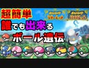 【ポケモンSV】この動画だけでボール遺伝が"超簡単"にわかります【ポケモンスカーレット・バイオレット】