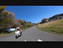 サーキットをハシゴするバカです