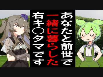 前世で右キ○タマだった時の記憶を持ってるずんだもん