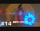 【ゆっくり実況】ゼルダの伝説BotW 4縛り#14